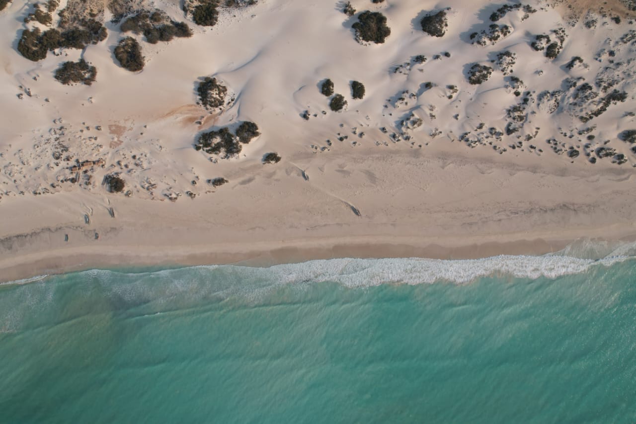 Top-down view of beach dunes meeting turquoise water